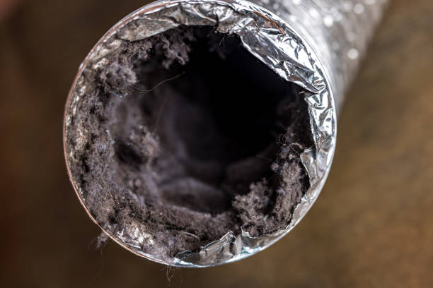 Best Air Duct Sanitizing Services  in Lake Carmel, NY